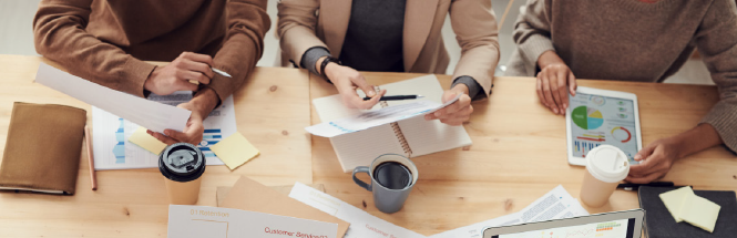 How does the tender system work in Mexico? (Mexico)